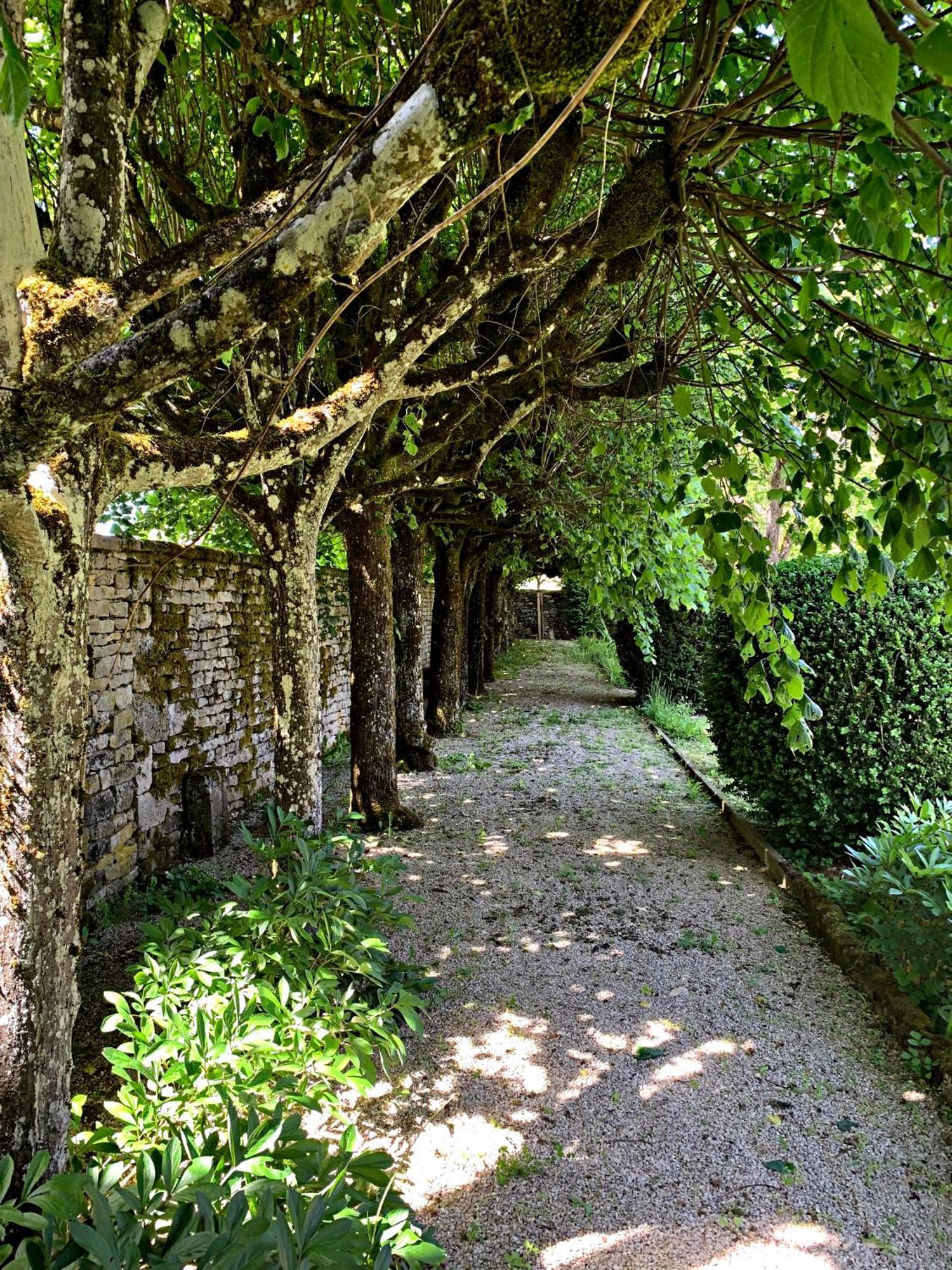 Le Clos Du Marronnier Rivieres-les-Fosses Bagian luar foto